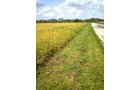 Property photo 14 - 75+/- Acres in 9 Tracts